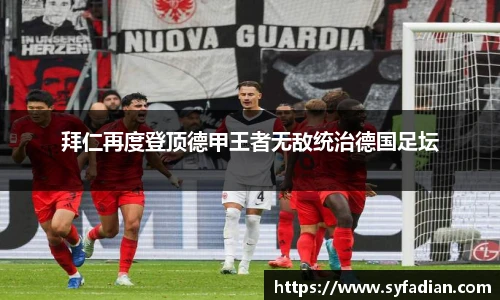 NG体育官网