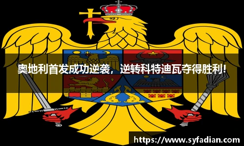 NG体育平台