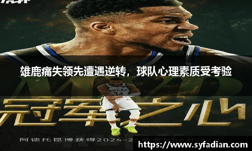 NG体育官网