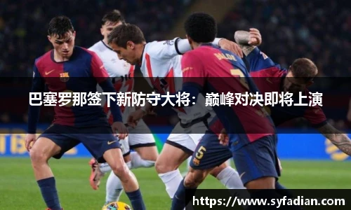 NG体育官网