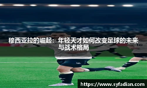 NG体育
