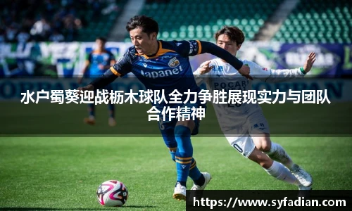 水户蜀葵迎战枥木球队全力争胜展现实力与团队合作精神